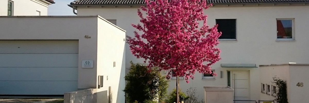 Stimmungsvolles Bild der Seite